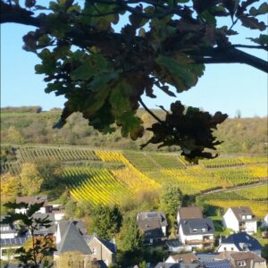 Ahrtal im Herbst