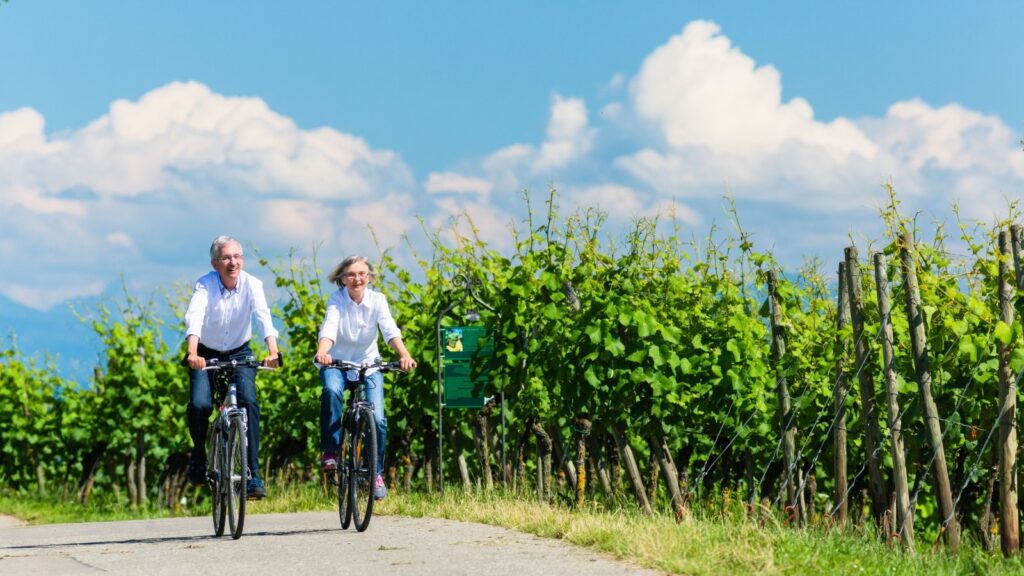 Radfahren und EBiken im Ahrtal AhrRadweg mit Weinbergen
